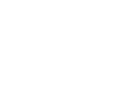 home_white_Noisiboi_site_logo_002b